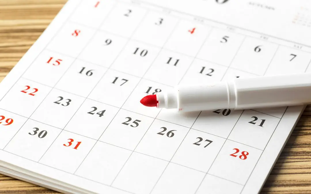 Staying Ahead: Creating Your Home Maintenance Schedule