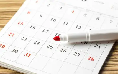 Staying Ahead: Creating Your Home Maintenance Schedule